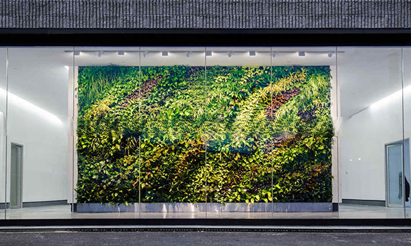 仿真植物墙-礼堂仿真剑麻多少钱
